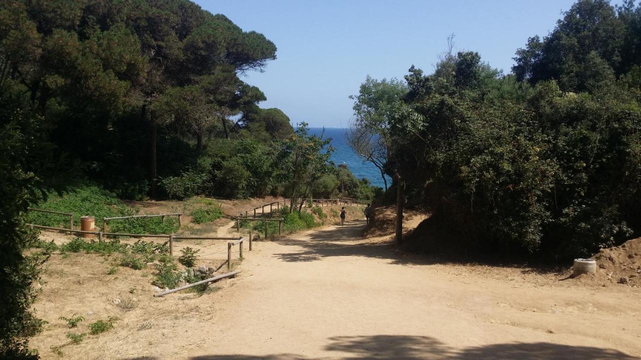 Apartment Sa Boadella Beach, Lloret De Mar - Costa Brava Экстерьер фото